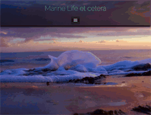 Tablet Screenshot of karollewall.com